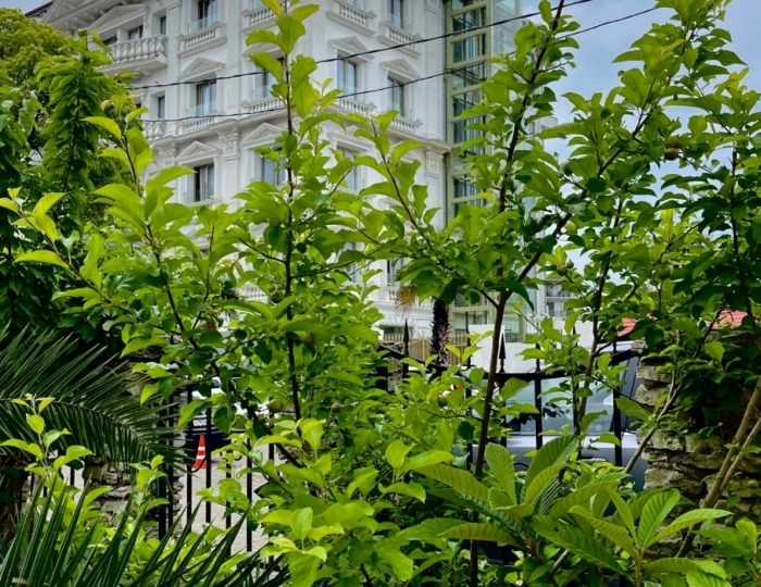 Отель Гранд Отель Сухум / Grand Hotel Sukhum